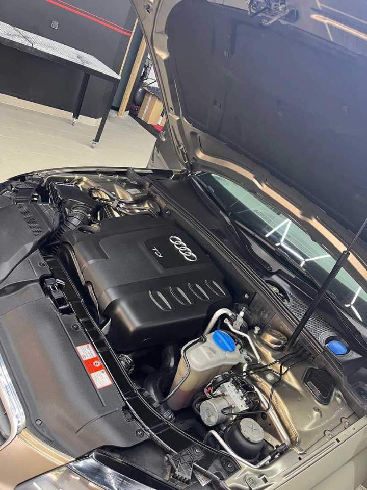 Nettoyage compartiment moteur Lièpvre